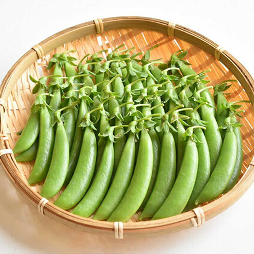 【2026年4月下旬より順次発送】和らぎ農法 豆まめ おやつ便 （栽培期間中、農薬・化学肥料・動物性堆肥不使用）/ スナップエンドウ セット 詰め合わせ 新鮮 野菜 旬 / 滋賀県 栗東市 / ワダケン リアルソイルハウス[BIBM002]