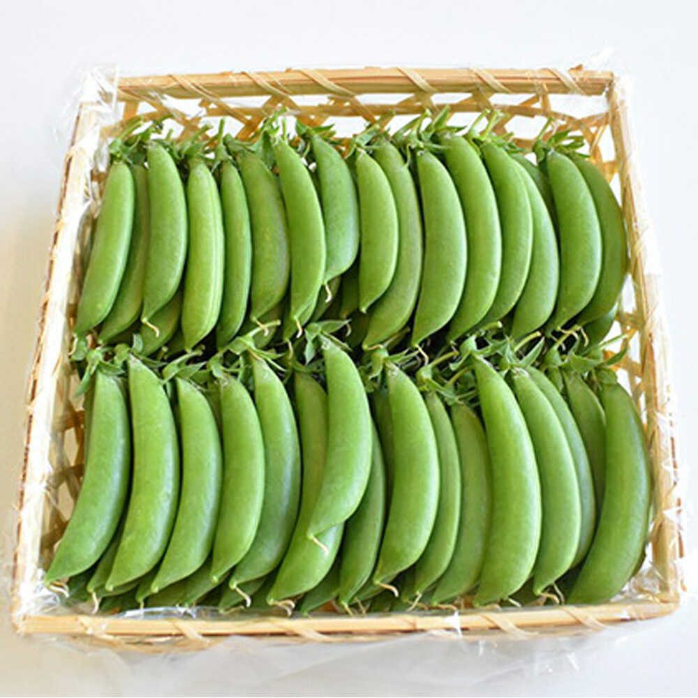 【2026年4月下旬より順次発送】和らぎ農法 豆まめ まんぷく便 （栽培期間中、農薬・化学肥料・動物性堆肥不使用）/ スナップエンドウ　セット 詰め合わせ 新鮮 野菜 旬 / 滋賀県 栗東市 / ワダケン リアルソイルハウス[BIBM003]