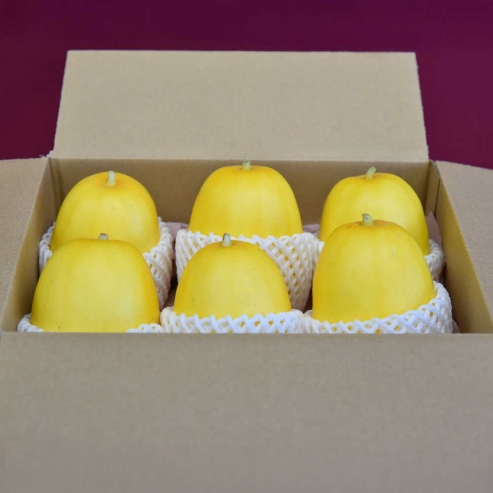 【ふるさと納税】【2026年7月下旬より順次発送】旬の野菜 懐かしまっか便（栽培期間中、農薬・化学肥料・動物性堆肥不使用）/ まくわうり セット 詰め合わせ 新鮮 野菜 旬 / 滋賀県 栗東市 / ワダケン リアルソイルハウス[BIBM006] - 画像3