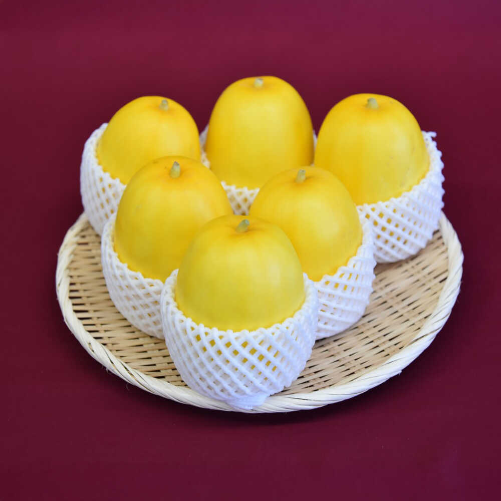 【2026年7月下旬より順次発送】旬の野菜 懐かしまっか便（栽培期間中、農薬・化学肥料・動物性堆肥不使用）/ まくわうり セット 詰め合わせ 新鮮 野菜 旬 / 滋賀県 栗東市 / ワダケン リアルソイルハウス[BIBM006]