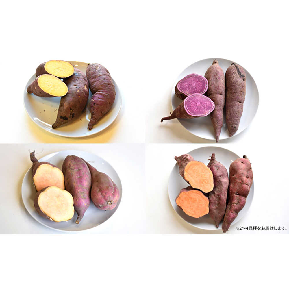 【ふるさと納税】【2026年10月頃より順次発送】和らぎ農法 ほっこり便 さつまいも編 5kg（栽培期間中、農薬・化学肥料・動物性堆肥不使用）/ さつまいも セット 食べ比べ 新鮮 野菜 旬 紅はるか ふくむらさき/ 滋賀県 栗東市 / ワダケン リアルソイルハウス[BIBM008] - 画像2