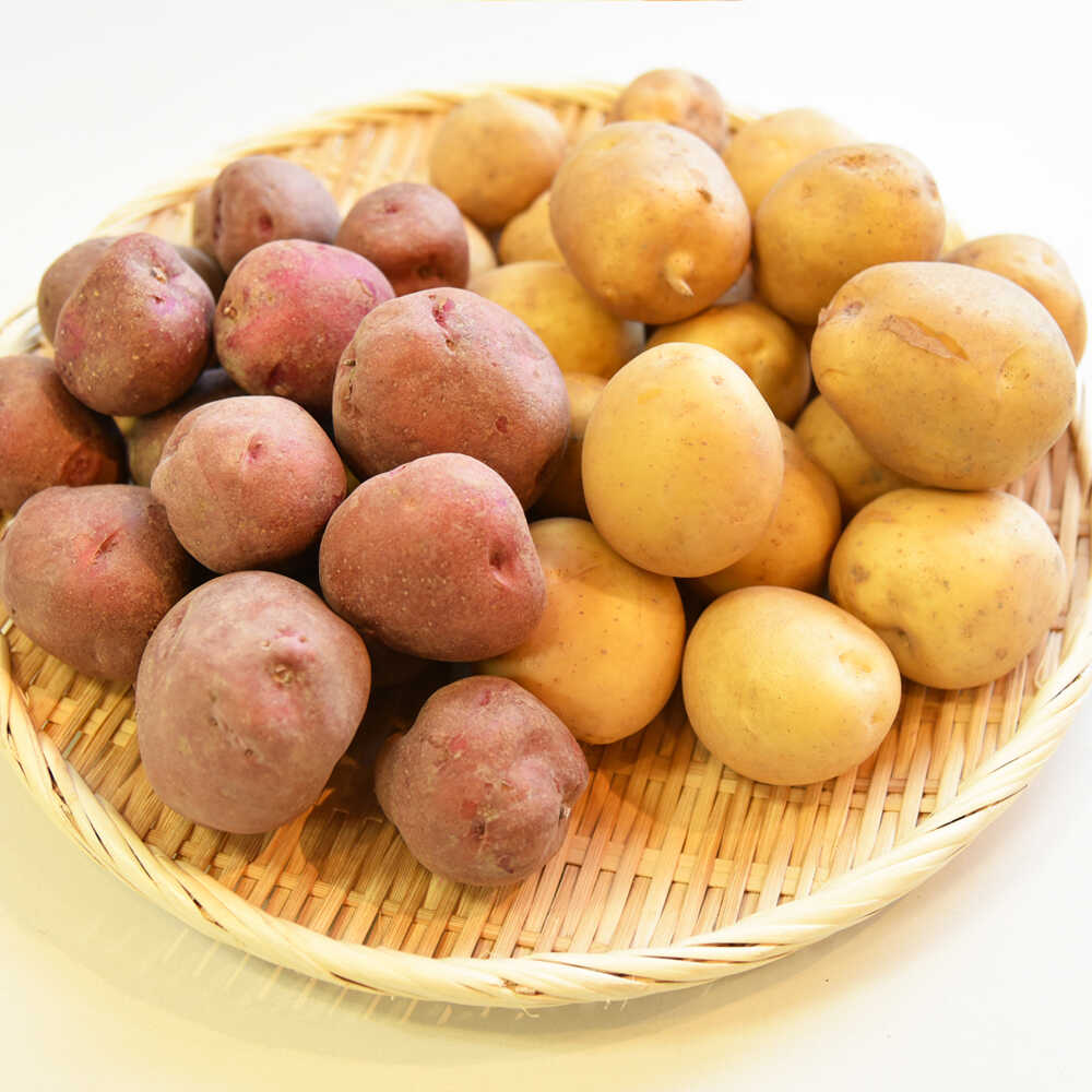 【先行予約：2026年11月中旬頃より順次発送】和らぎ農法 ほっこり便 じゃがいも 秋じゃが編 2.5kg（栽培期間中、農薬・化学肥料・動物性堆肥不使用）/ じゃがいも セット 食べ比べ 新鮮 野菜 旬 / 滋賀県 栗東市 / ワダケン リアルソイルハウス[BIBM011]