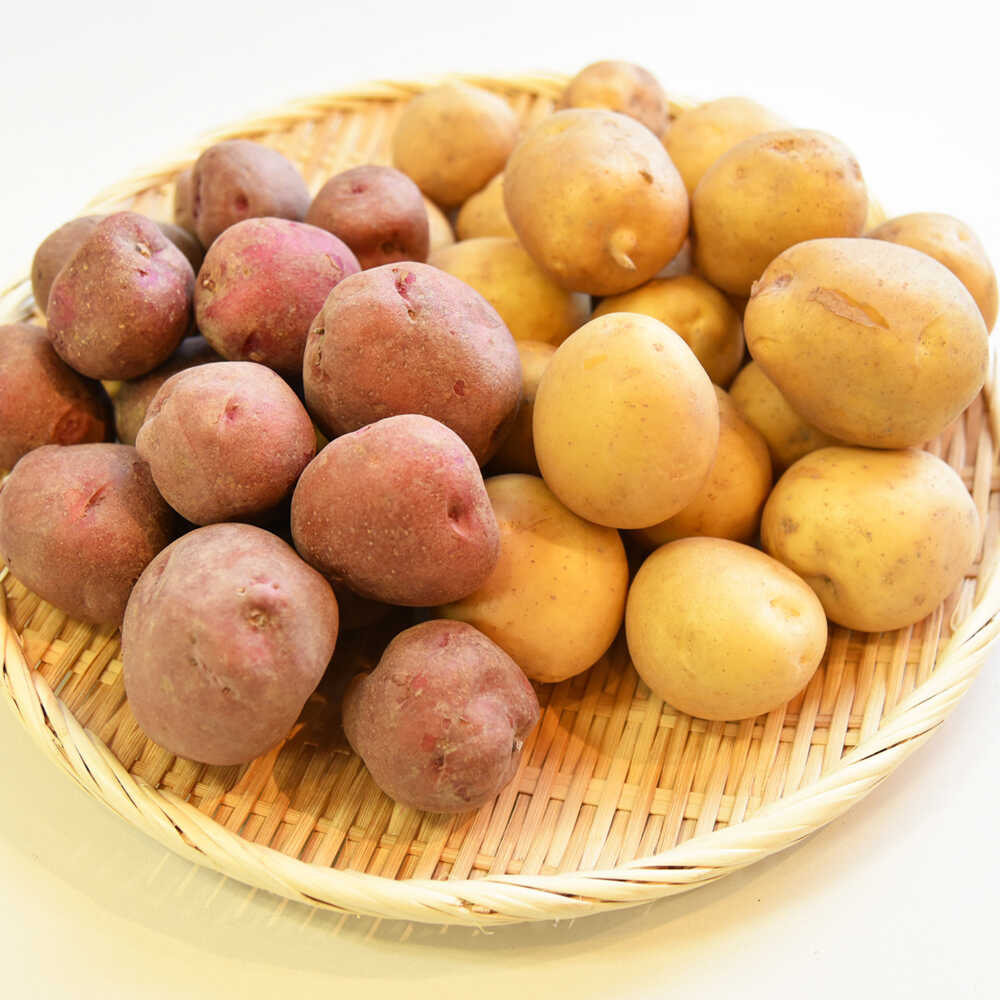 【先行予約：2026年11月中旬頃より順次発送】和らぎ農法 ほっこり便 じゃがいも 秋じゃが編 5kg（栽培期間中、農薬・化学肥料・動物性堆肥不使用）/ じゃがいも セット 食べ比べ 新鮮 野菜 旬 / 滋賀県 栗東市 / ワダケン リアルソイルハウス[BIBM012]