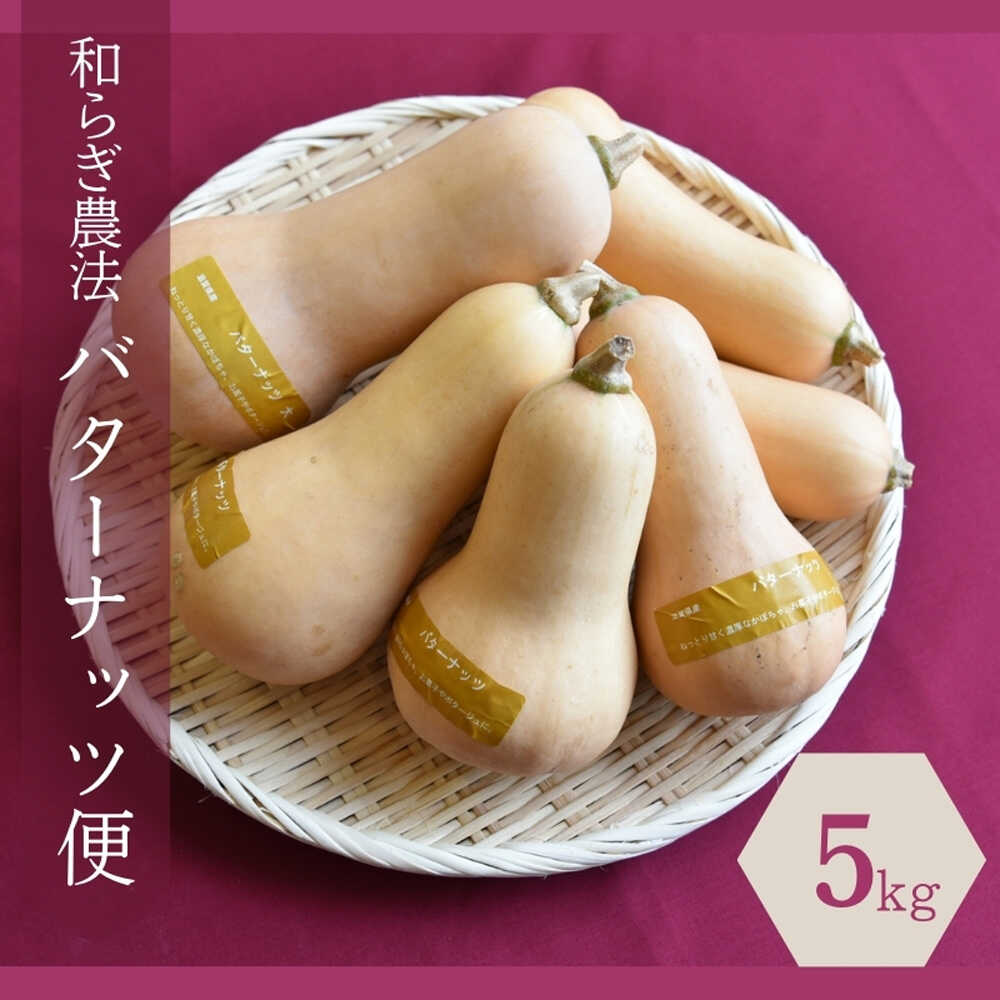 【2026年9月下旬頃より順次発送】和らぎ農法 バターナッツ便（約5kg）（栽培期間中、農薬・化学肥料・動物性堆肥不使用）/ バターナッツ セット 詰め合わせ 新鮮 野菜 旬 / 滋賀県 栗東市 / ワダケン リアルソイルハウス[BIBM015]