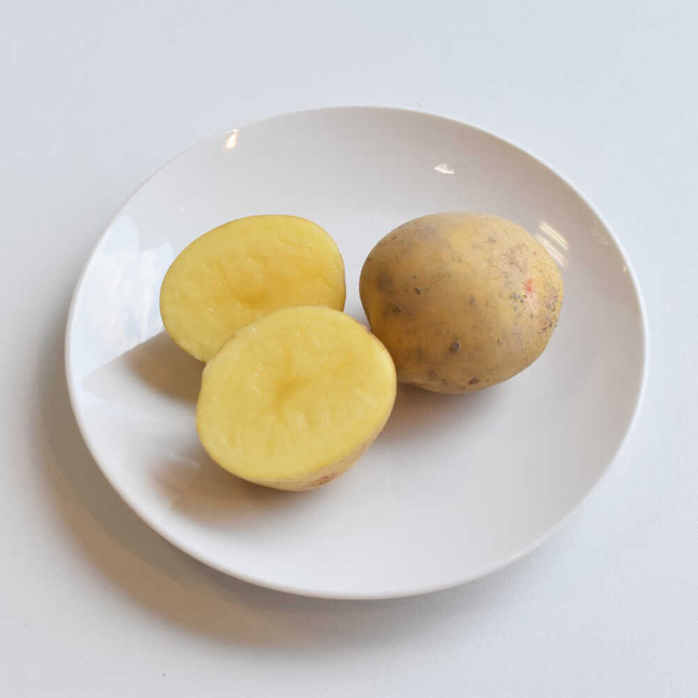 【ふるさと納税】【先行予約：2026年6月頃より順次発送】和らぎ農法 春じゃが便 5kg （栽培期間中、農薬・化学肥料・動物性堆肥不使用）/じゃがいも 食べ比べ 新鮮 野菜 詰め合わせ 3種 / 滋賀県 栗東市 / ワダケン リアルソイルハウス[BIBM017] - 画像3