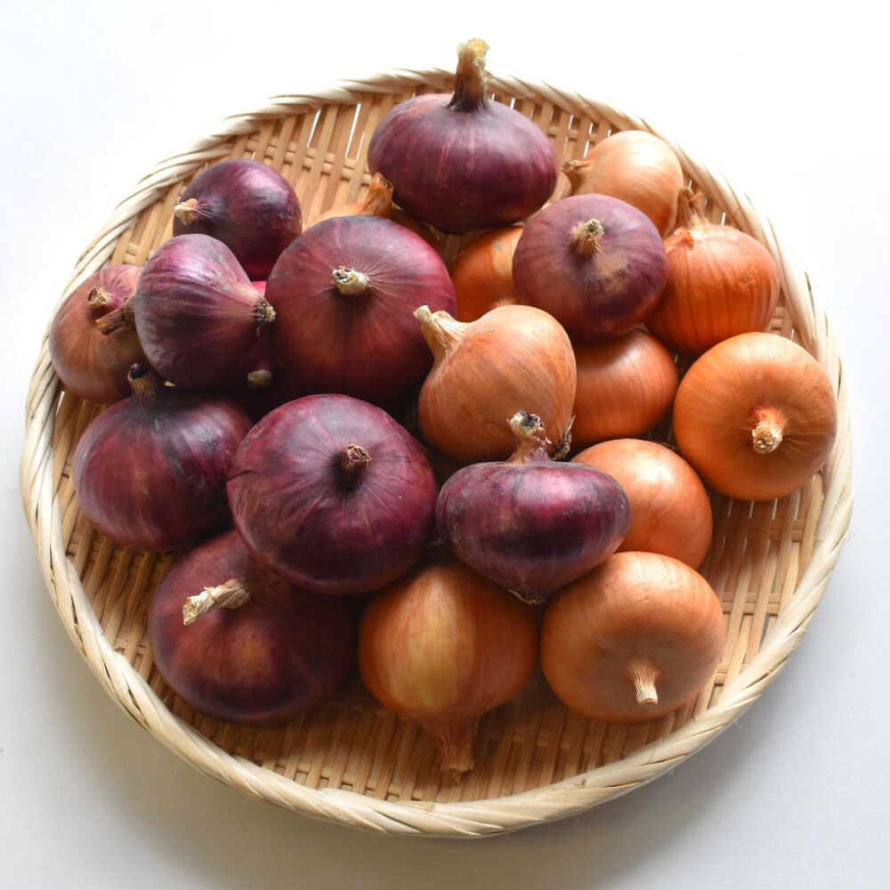 【先行予約：2026年6月頃より順次発送】和らぎ農法 玉ねぎ便 5kg（栽培期間中、農薬・化学肥料・動物性堆肥不使用）/ 赤玉ねぎ セット 詰め合わせ 新鮮 野菜 食べ比べ 旬 /滋賀県 栗東市 / ワダケン リアルソイルハウス[BIBM019]