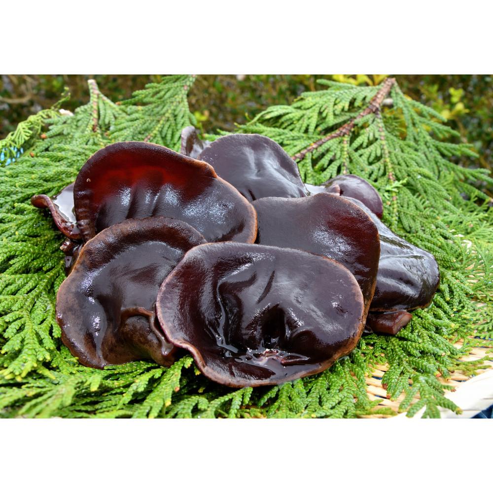 【ふるさと納税】ニンニンきくらげ 生きくらげ 2kg （ 200g × 10パック ） | 甲賀市 きくらげ 生タイプ 食物繊維 ビタミンD 低カロリー 人気 おすすめ 健康食材 ヘルシー料理 和食 中華料理 炒め物 サラダ お取り寄せ 通販 送料無料 ふるさと納税 - 画像2