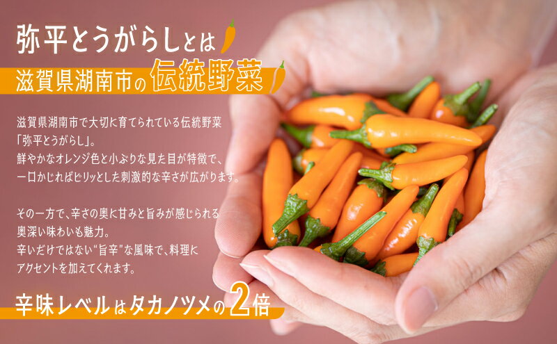 【ふるさと納税】【旨辛スパイス】弥平とうがらし　ぴりり（一味唐辛子） サムネイル3