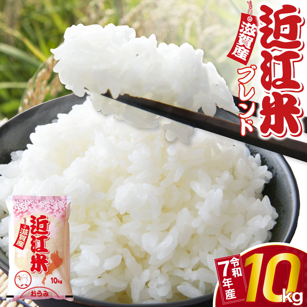 近江ブレンド米 （10kg）お米 米 おこめ 精米 白米 ブランド米 訳あり コメ ご飯 一人暮らし 常温保存 備蓄 小分け 便利 お取り寄せ グルメ ご当地 滋賀県 東近江 近江 B-B03 中川吉兵衛商店