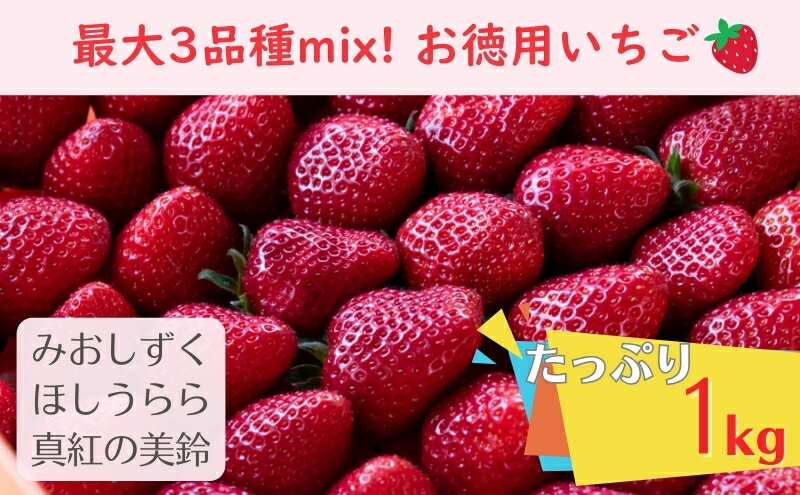 【ふるさと納税】【たっぷり最大3品種ミックス】お徳用いちご(1kg超入り)※本州限定 果物類 フルーツ 果物 　お届け：2026年1月上旬～5月下旬ごろ サムネイル2