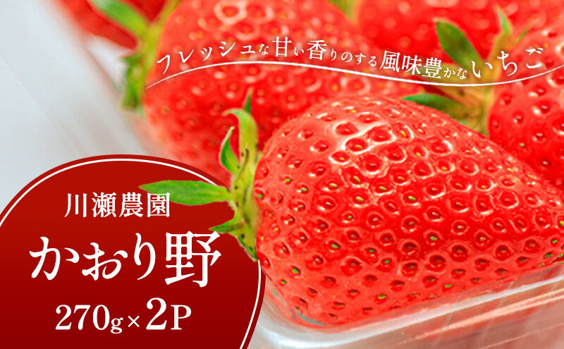 【ふるさと納税】川瀬農園のかおり野　2パック　お届け：2026年1月下旬より順次発送 サムネイル2