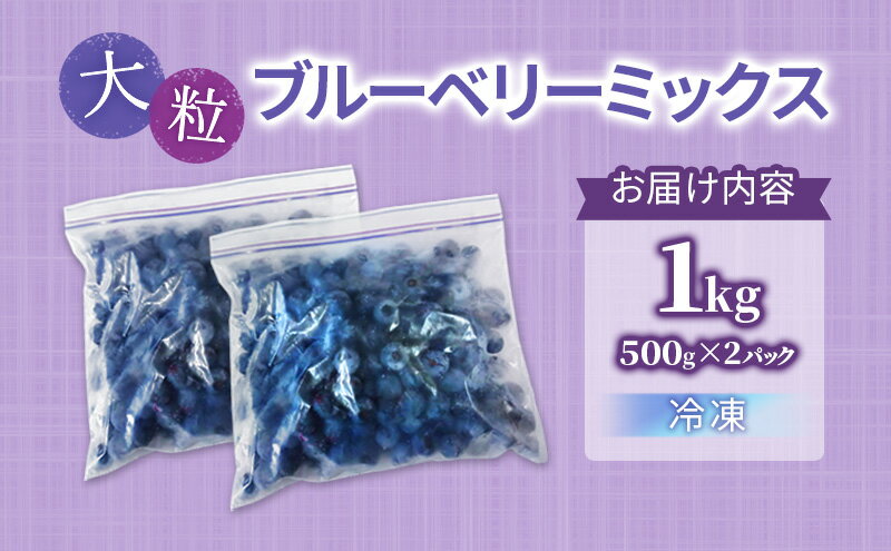 【ふるさと納税】大粒ブルーベリーミックス（冷凍）1kg（500g×2パック）| ブルーベリー 果物 フルーツ 冷凍フルーツ ベリー類 サムネイル3