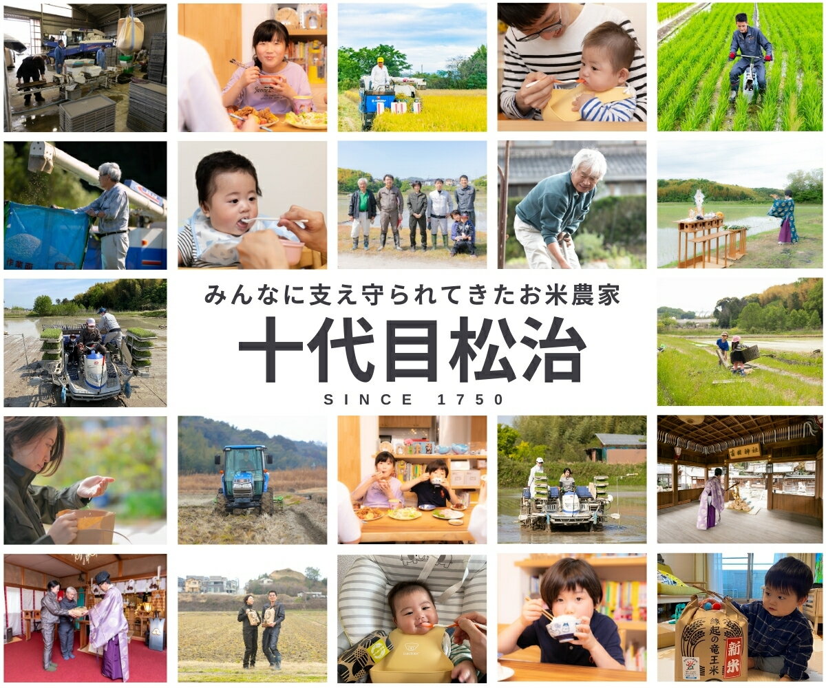 【ふるさと納税】 令和7年産 米 きぬむすめ 5kg 選べる【回数】【精米具合】 1回 3回 定期便 定期便 3ヶ月 白米 玄米 無洗米 特別栽培米 環境こだわり ブランド米 精米 お米 こめ おこめ 滋賀県 竜王町 ) - 画像2