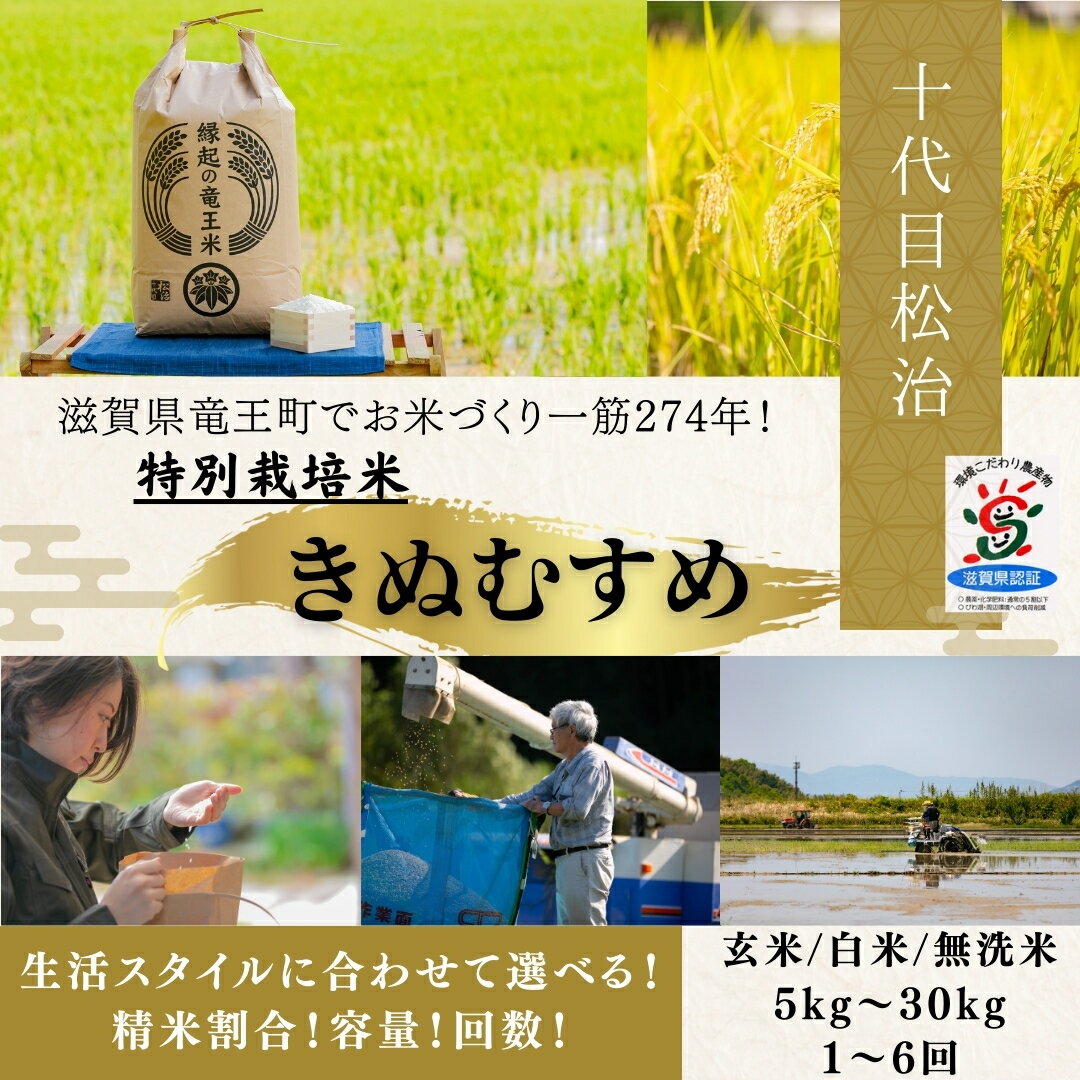 令和7年産 米 きぬむすめ 5kg 選べる【回数】【精米具合】 1回 3回 定期便 定期便 3ヶ月 白米 玄米 無洗米 特別栽培米 環境こだわり ブランド米 精米 お米 こめ おこめ 滋賀県 竜王町 )