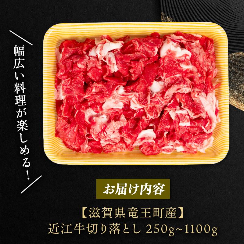 【ふるさと納税】 近江牛 切り落とし 250g 550g 1100g 選べる 容量 定期便 3ヶ月 和牛 黒毛和牛 冷凍 牛肉 牛 肉 赤身 ふるさと納税 ブランド 切落し 切り落し 薄切り ギフト 国産 滋賀県 近江 竜王町 岡喜 神戸牛 松阪牛 に並ぶ 日本三大和牛 お買い物マラソン スライス サムネイル2