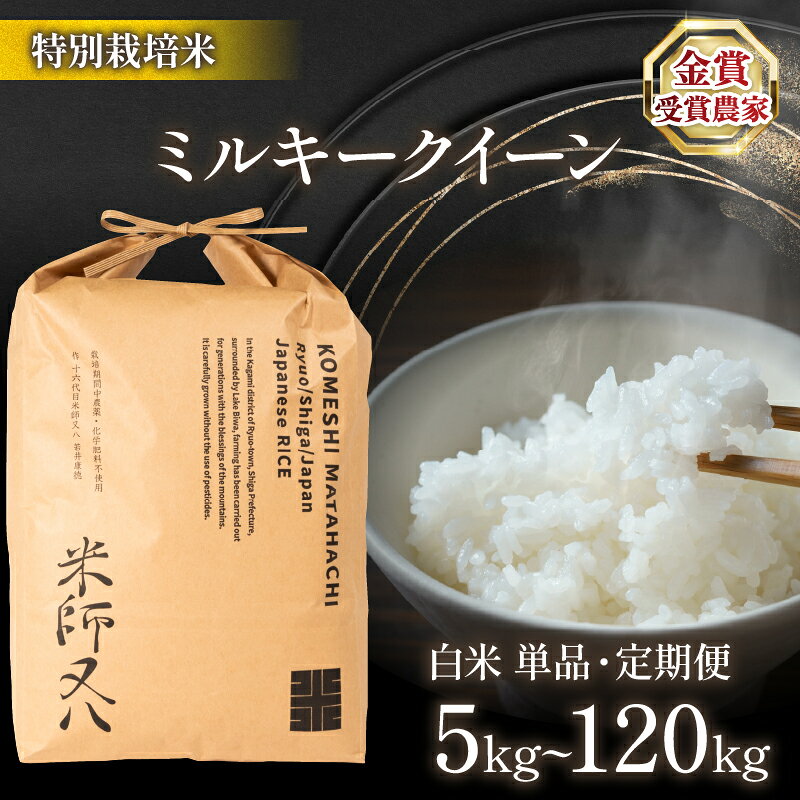 令和7年産米 ミルキークイーン 選べる 【 容量 】【 回数 】 5kg 10kg 20kg 30kg 1回 6回 12回 白米 ( ブランド 米 rice 精米 ご飯 内祝い 十六代目米師又八 謹製 もちもち 国産 送料無料 滋賀県 農家直送 竜王 ふるさと納税 )