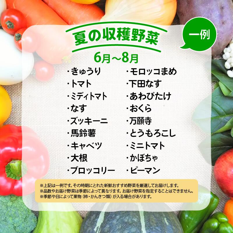 【ふるさと納税】 竜王町産 野菜 詰め合わせ セット 選べる 単品 定期便 2ヶ月 3ヶ月 6ヶ月 12ヶ月 野菜セット 10～14品 野菜 季節 定期 野菜ソムリエ 厳選 採れたて やさい トマト 玉ねぎ 白菜 じゃがいも 里芋 食材 新鮮 旬 産地直送 滋賀県 竜王町 送料無料 ふるさと納税 - 画像3