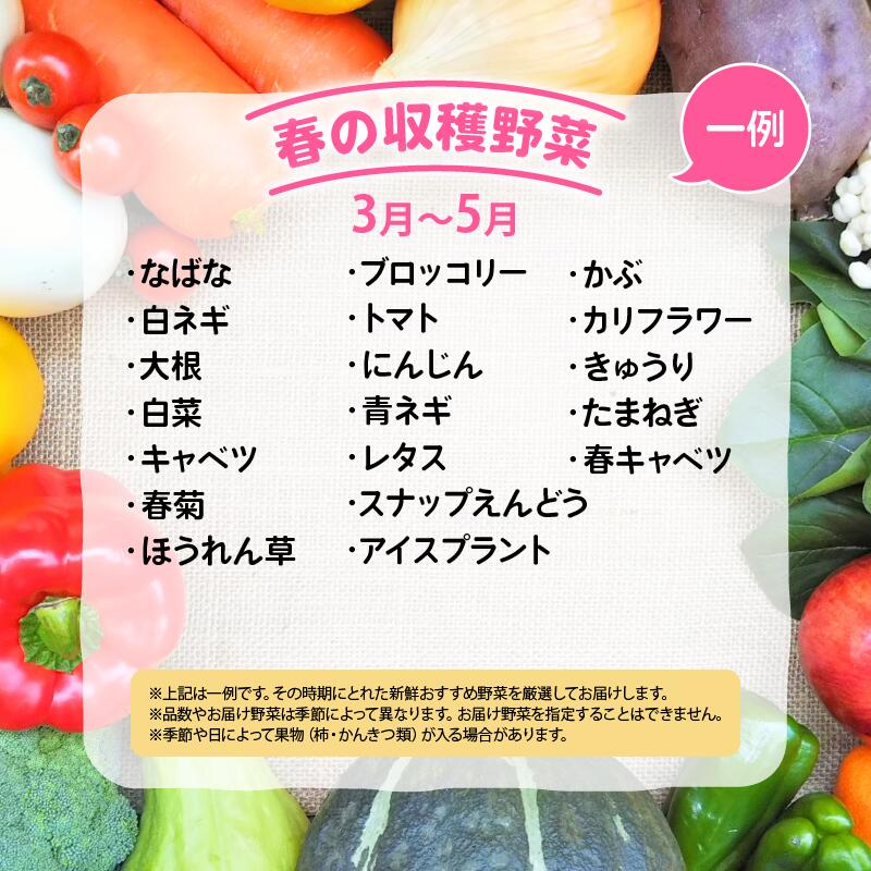 【ふるさと納税】 竜王町産 野菜 詰め合わせ セット 選べる 単品 定期便 2ヶ月 3ヶ月 6ヶ月 12ヶ月 野菜セット 10～14品 野菜 季節 定期 野菜ソムリエ 厳選 採れたて やさい トマト 玉ねぎ 白菜 じゃがいも 里芋 食材 新鮮 旬 産地直送 滋賀県 竜王町 送料無料 ふるさと納税 - 画像2