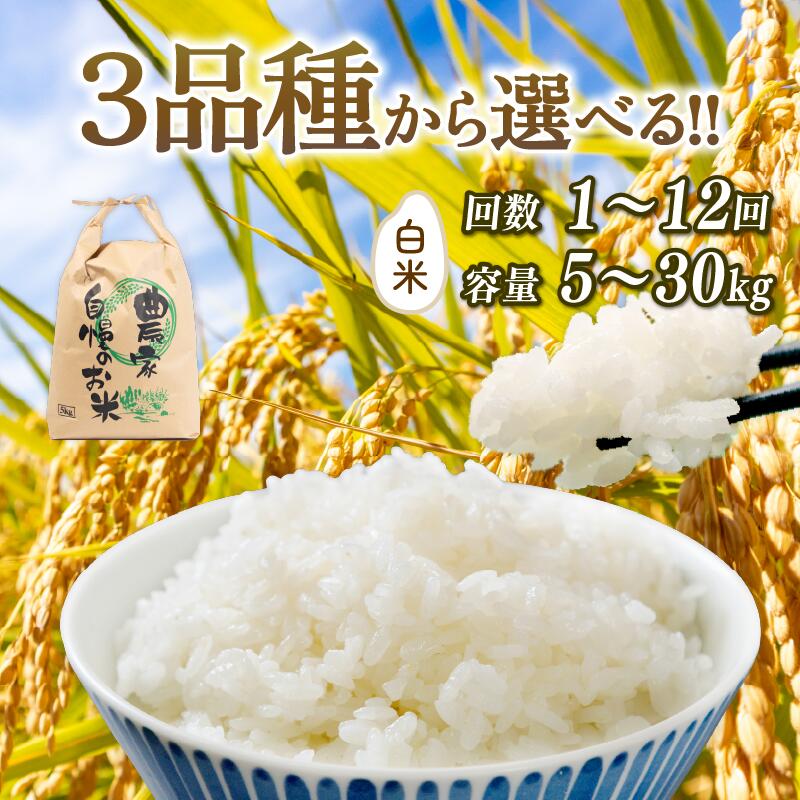 令和7年産米 白米 選べる 【品種】 【容量】 【定期便】 コシヒカリ ミルキークイーン にじのきらめき 5kg 10kg 20kg 30kg 定期 3ヶ月 6ヶ月 2025年産 米 特別栽培米 国産 環境こだわり お試し こめ 農家直送 滋賀県 竜王町 送料無料