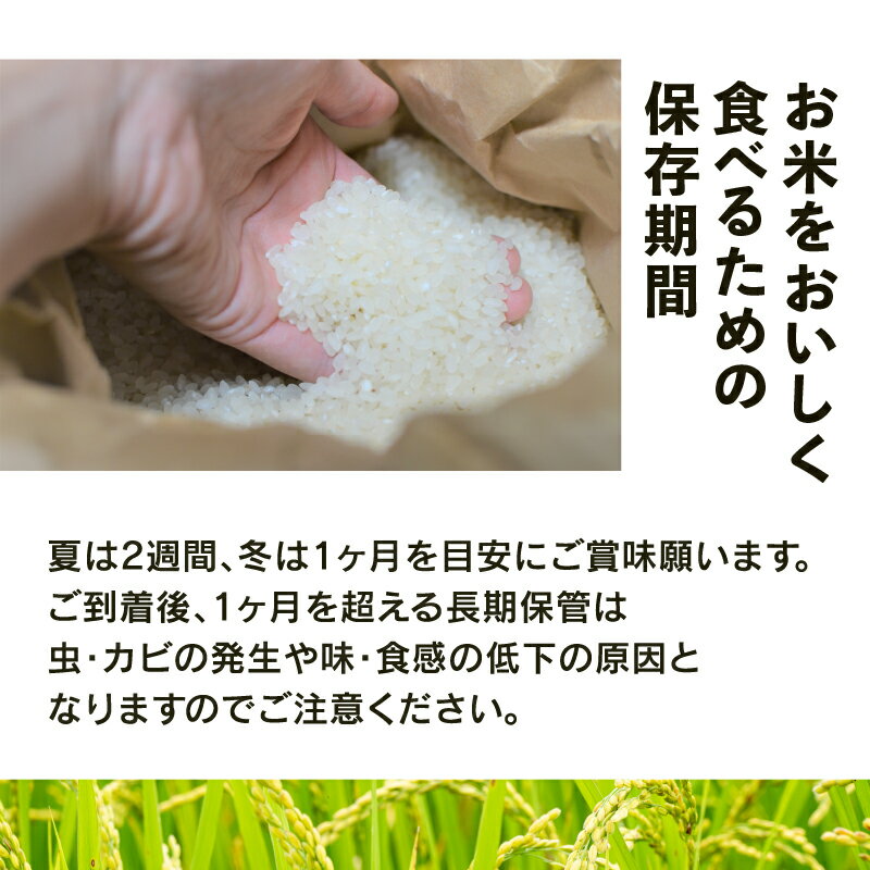【ふるさと納税】 令和7年産米 白米 選べる 【品種】 【容量】 【定期便】 コシヒカリ ミルキークイーン にじのきらめき 5kg 10kg 20kg 30kg 定期 3ヶ月 6ヶ月 2025年産 米 特別栽培米 国産 環境こだわり お試し こめ 農家直送 滋賀県 竜王町 送料無料 - 画像3