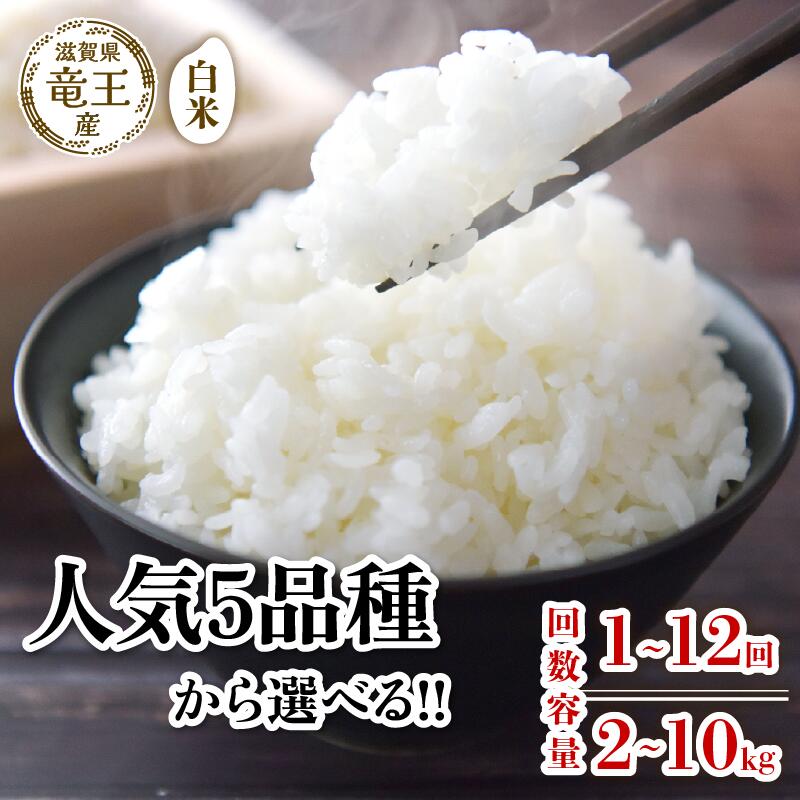 令和7年産米 白米 選べる こしひかり ミルキークイーン 夢ごこち みずかがみ にじのきらめき 選べる 品種 容量 定期便 2kg 5kg 10kg 定期便 3ヶ月 6ヶ月 12ヶ月 米 特別栽培米 国産 環境こだわり お試し こめ 精米 農家直送 滋賀県 竜王町 送料無料