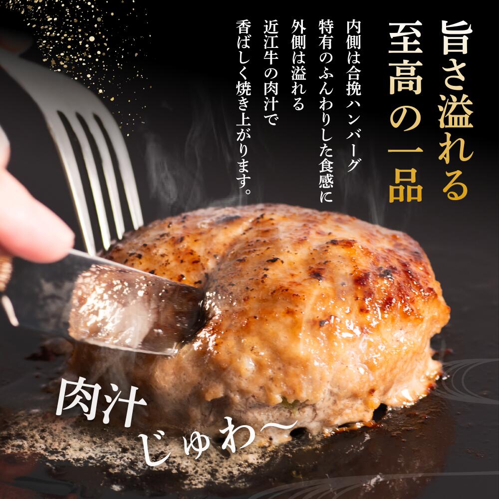 【ふるさと納税】 ＼総合1位獲得／ 近江牛 入り ハンバーグ 6kg 3kg 2kg 1kg 淡路島産 玉ねぎ 近江牛 使用 合挽き 近江牛 200g/30個15個10個5個 選べる容量 個包装 和牛 牛肉 合挽き 冷凍 黒毛和牛 豚肉 ポーク ランキング 神戸牛 松阪牛 に並ぶ日本三大和牛 滋賀県 竜王町 - 画像2