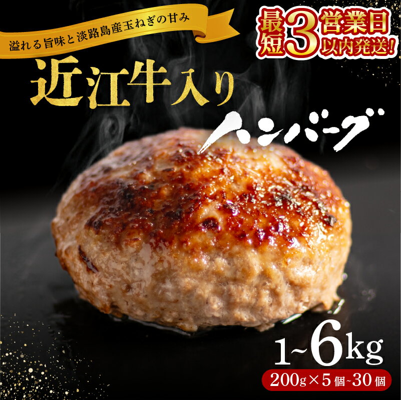 ＼総合1位獲得／ 近江牛 入り ハンバーグ 6kg 3kg 2kg 1kg 淡路島産 玉ねぎ 近江牛 使用 合挽き 近江牛 200g/30個15個10個5個 選べる容量 個包装 和牛 牛肉 合挽き 冷凍 黒毛和牛 豚肉 ポーク ランキング 神戸牛 松阪牛 に並ぶ日本三大和牛 滋賀県 竜王町 - 滋賀県 竜王町のふるさと納税返礼品（ランキング3位）