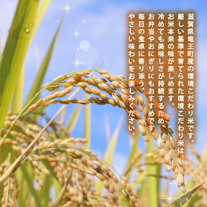 【ふるさと納税】 令和7年産 米 キヌヒカリ 5kg 選べる お届け回数 3回 6回 単品 定期便 お米 きぬひかり 国産 滋賀県 竜王町産 精米 ライス 白飯 ご飯 ゴハン こめ おこめ コメ 白米 産地直送 送料無料 ギフト 滋賀県 竜王町 - 画像2