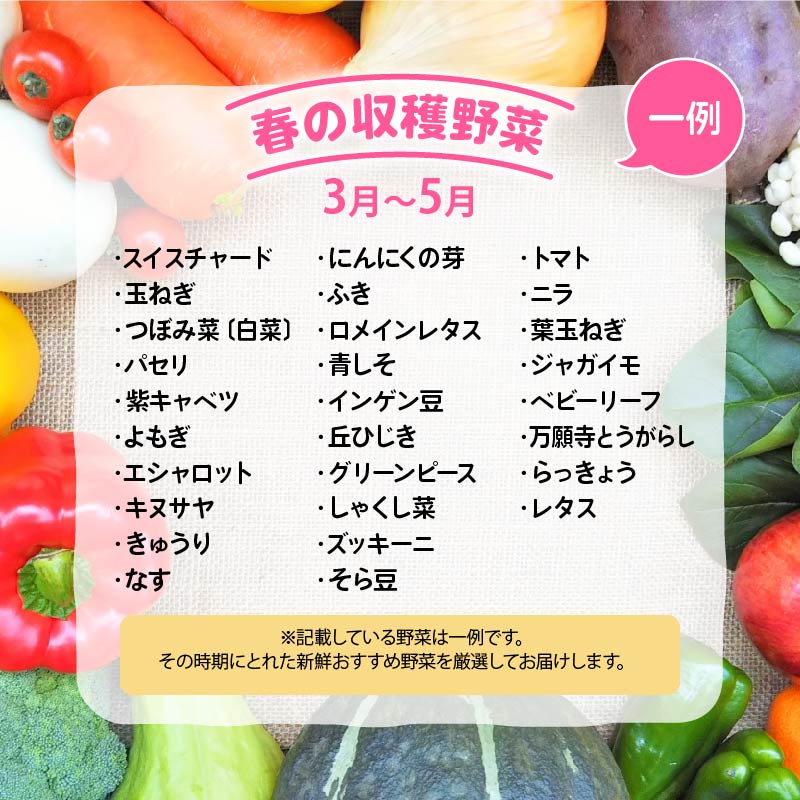 【ふるさと納税】 【先行予約】 野菜 定期便 詰め合わせ 1回 3回 6回 12回 10品 ~ 15品 旬 新鮮 やさい セット 野菜ソムリエ （ 厳選 定期便 1ヶ月 3ヶ月 6ヶ月 12ヶ月 道の駅 かがみの里 竜王町 玉ねぎ キャベツ なす にんにく トマト じゃがいも レタス ほうれん草 など ） サムネイル2