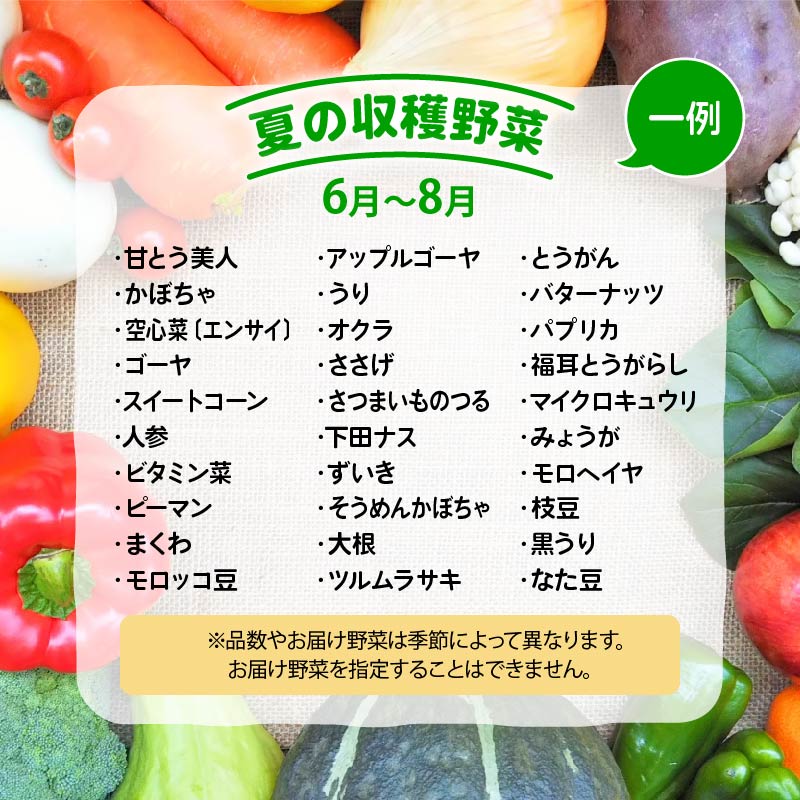 【ふるさと納税】 【先行予約】 野菜 定期便 詰め合わせ 1回 3回 6回 12回 10品 ~ 15品 旬 新鮮 やさい セット 野菜ソムリエ （ 厳選 定期便 1ヶ月 3ヶ月 6ヶ月 12ヶ月 道の駅 かがみの里 竜王町 玉ねぎ キャベツ なす にんにく トマト じゃがいも レタス ほうれん草 など ） サムネイル3