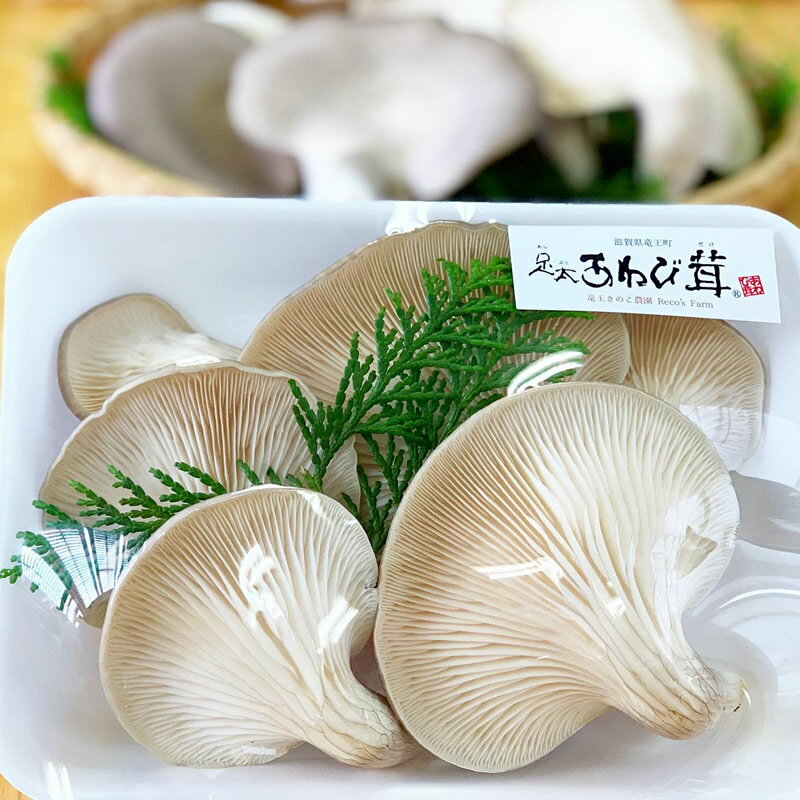 【ふるさと納税】 あわび茸 生 250g 希少 きのこ 足太 あわび 茸 キノコ 国産 野菜 食材 健康 滋賀県 竜王町 贈り物 ギフト 産地直送 5000円以下 あわびたけ あわびだけ - 画像2