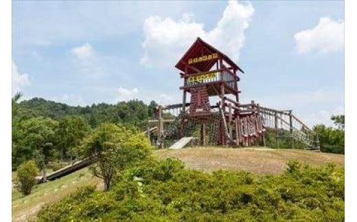 【ふるさと納税】 希望が丘文化公園 フィールド アスレチック 入場券 チケット フィールドアスレチック アウトドア アクティビティ 自然 運動 子供 キッズ 家族 ファミリー 体験 滋賀県 竜王 サムネイル2