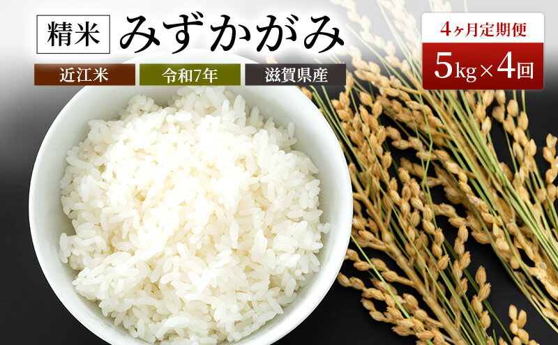 【ふるさと納税】【寄附額見直しました】 定期便 米 5kg×4ヶ月 みずかがみ 豊かな郷の近江米 令和7年産 米 こめ - 画像2