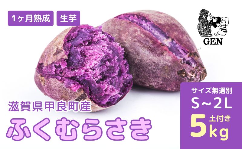【ふるさと納税】熟成 ふくむらさき（生芋）S～2Lサイズ 5kg 紫さつまいも　お届け：2025年12月26日～2026年4月15日まで - 画像2