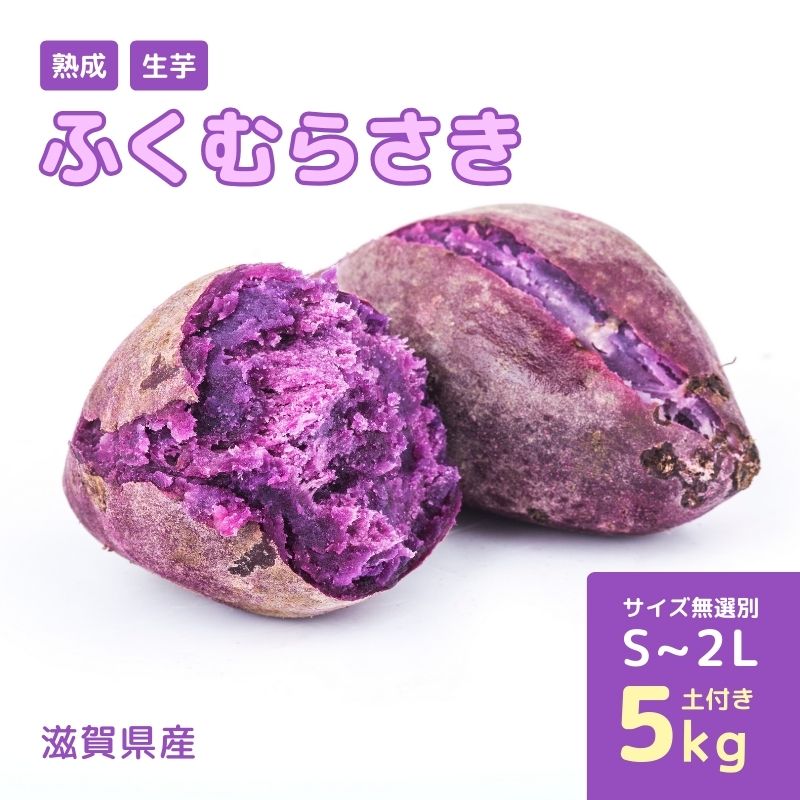 熟成 ふくむらさき（生芋）S～2Lサイズ 5kg 紫さつまいも　お届け：2025年12月26日～2026年4月15日まで