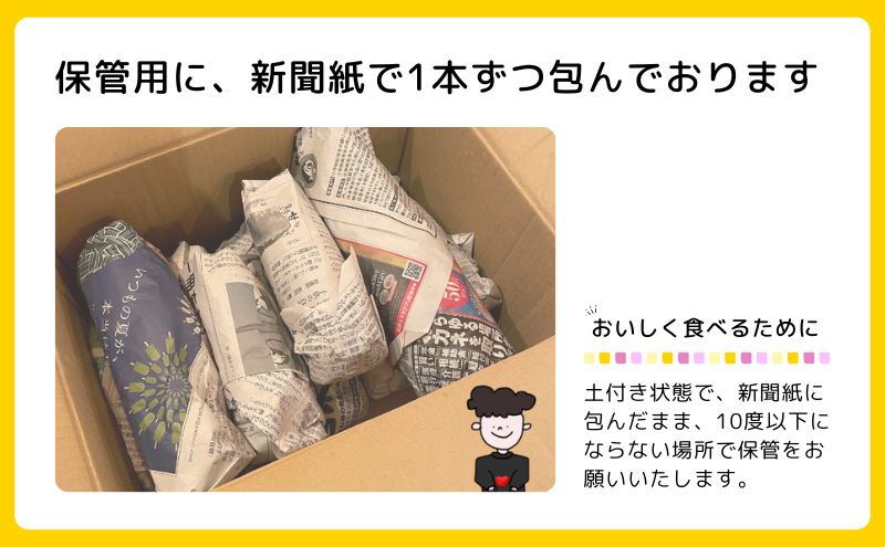 【ふるさと納税】熟成 ふくむらさき（生芋）S～2Lサイズ 5kg 紫さつまいも　お届け：2025年12月26日～2026年4月15日まで - 画像3