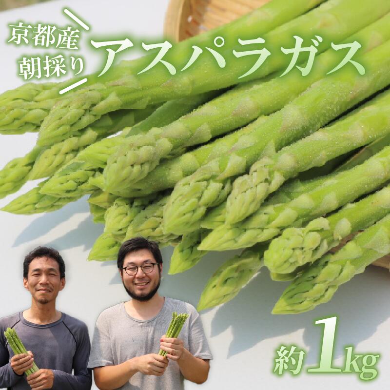 先行受付 2026年産 数量限定 アスパラガス 1kg L～2Lサイズ 京都 サラダ 炒め物 アスパラ 京都府 京都府産 久御山町 久御山 春野菜 人気 野菜 旬 朝採れ 朝採り 新鮮 期間限定 季節限定 旬野菜 季節野菜 春