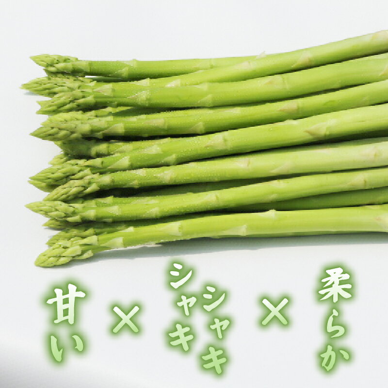 【ふるさと納税】先行受付 2026年産 数量限定 アスパラガス 1kg L～2Lサイズ 京都 サラダ 炒め物 アスパラ 京都府 京都府産 久御山町 久御山 春野菜 人気 野菜 旬 朝採れ 朝採り 新鮮 期間限定 季節限定 旬野菜 季節野菜 春 - 画像3