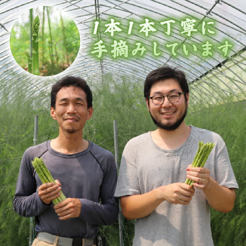 【ふるさと納税】先行受付 2026年産 数量限定 アスパラガス 1kg L～2Lサイズ 京都 サラダ 炒め物 アスパラ 京都府 京都府産 久御山町 久御山 春野菜 人気 野菜 旬 朝採れ 朝採り 新鮮 期間限定 季節限定 旬野菜 季節野菜 春 - 画像2