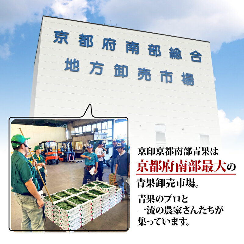 【ふるさと納税】 定期便 4回 京都 野菜 6～8種 年4回 旬 京野菜 春 夏 秋 冬 なす とうもろこし トマト ねぎ ごぼう 水菜 鍋 サラダ 京都府 人気 おまかせ 詰め合わせ セット 京印京都南部青果 市場 - 画像2