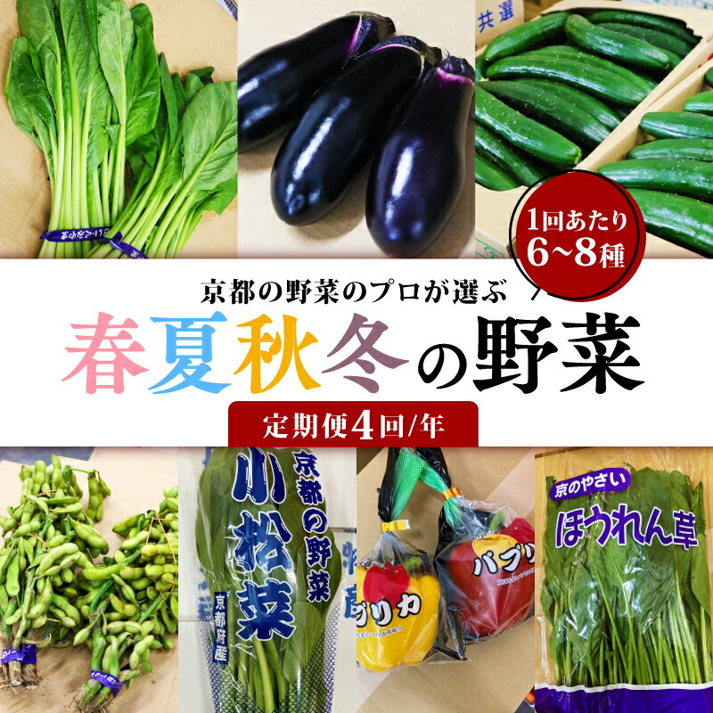 定期便 4回 京都 野菜 6～8種 年4回 旬 京野菜 春 夏 秋 冬 なす とうもろこし トマト ねぎ ごぼう 水菜 鍋 サラダ 京都府 人気 おまかせ 詰め合わせ セット 京印京都南部青果 市場