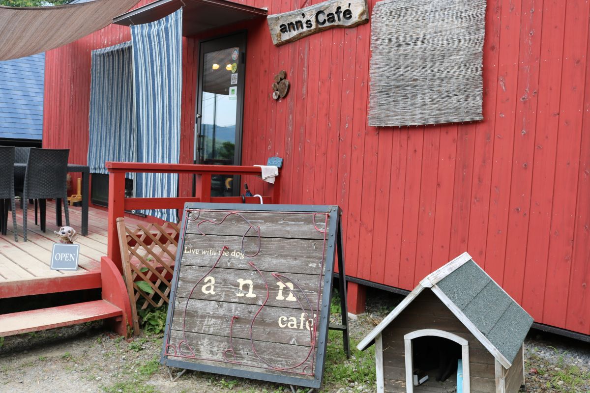 【ふるさと納税】 犬専用総合ケアハウス 選べる 施設利用券 3000円分 ~ 9000円分 ( 愛犬 ケア ドッグホテル ドッグラン ドッグカフェ トリミング ペット 犬 いぬ 犬専用 宿泊 ホテル チケット ケアサービス チャリティ 保護活動 京都府 京都 京丹波町 老犬ホームあん ) - 画像2