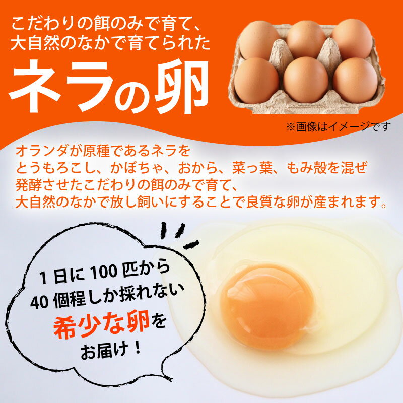 【ふるさと納税】 【産地直送】旬のお野菜詰め合わせ 6〜8種類 選べる お届け回数 3回 6回 12回卵付き(京野菜セット やさい 詰め合わせセット 季節 旬 旬野菜 定期便 新鮮 おすすめ たまご ネラ 放し飼い 3か月 6カ月 12ヶ月 南丹市 京都府 7000円 10000円以下 以内) - 画像2
