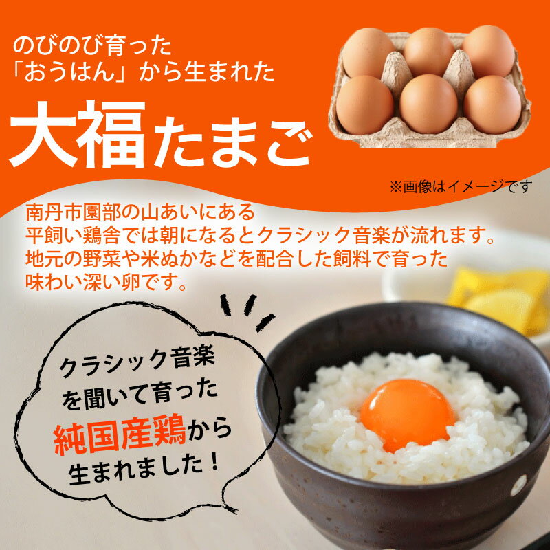 【ふるさと納税】 【産地直送】旬のお野菜詰め合わせ 6〜8種類 選べる お届け回数 3回 6回 12回卵付き(京野菜セット やさい 詰め合わせセット 季節 旬 旬野菜 定期便 新鮮 おすすめ たまご ネラ 放し飼い 3か月 6カ月 12ヶ月 南丹市 京都府 7000円 10000円以下 以内) - 画像3
