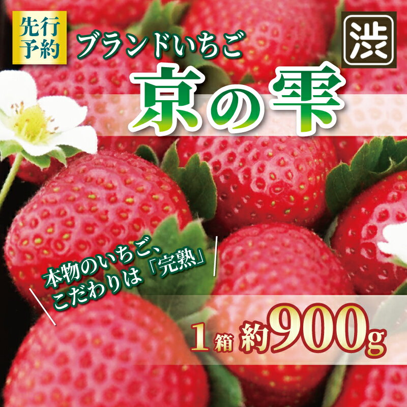 【2025年12月～翌5月発送】 いちご 京の雫 1箱 約900g 20～28粒入り 化粧箱入り イチゴ 苺 ブランド フルーツ デザート 甘い 糖度 産地直送 人気 おすすめ 京都 八幡 渋谷農園