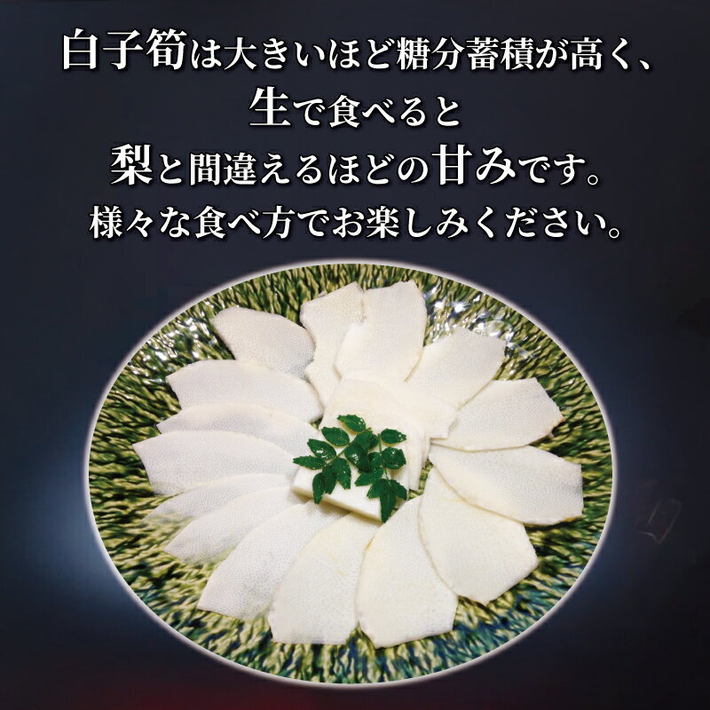 【ふるさと納税】 冷凍 白子京筍 石清水 1本 約1～5kg 1kg 2kg 3kg 4kg 5kg 白子筍 筍 たけのこ タケノコ 竹の子 一本丸ごと 早掘り 国産 高級 野菜 甘み 糖分 人気 おすすめ 男山 京都 八幡 石清水八幡宮 京都辻農園 - 画像3