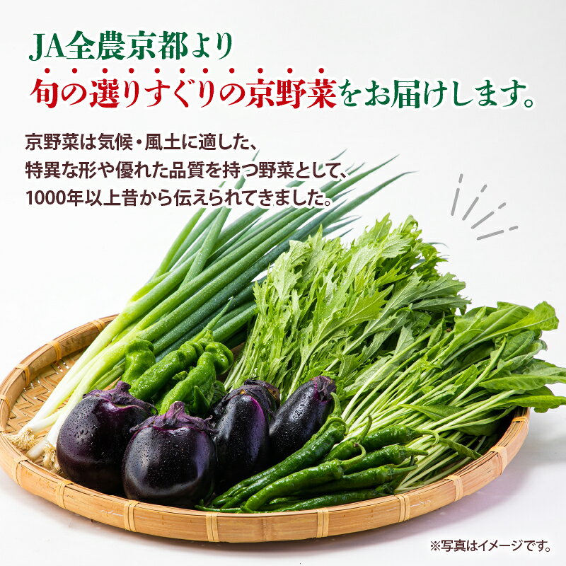 【ふるさと納税】 京野菜 おためし セット 6種 程度 野菜 詰め合わせ 京都 季節 旬 京野菜 栄養食 九条ネギ 万願寺 賀茂なす 京都府産 数量限定 冷蔵 サラダ 健康 お試し 9000円 - 画像2