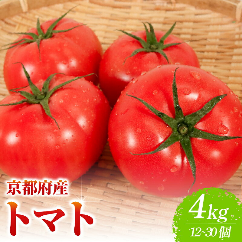 トマト 約4kg(12～30個) 京都府産 国産 産地直送 農家直送 野菜 新鮮 鮮度 濃厚 とまと リコピン ハウス栽培 京都 美味しい ふるさと納税トマト ふるさと納税とまと 京都 城陽市 倉田農場