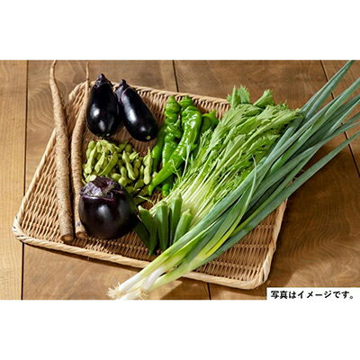 ＜2回　定期便＞【JA全農京都】半年に1回配送！季節の京野菜セット | 京都 京都市 野菜 定期便 季節 京野菜 JA全農京都 セット 詰め合わせ