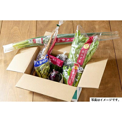 【ふるさと納税】＜2回　定期便＞【JA全農京都】半年に1回配送！季節の京野菜セット | 京都 京都市 野菜 定期便 季節 京野菜 JA全農京都 セット 詰め合わせ - 画像2